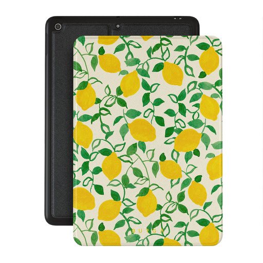 CM_15IP_iPAD_10.2