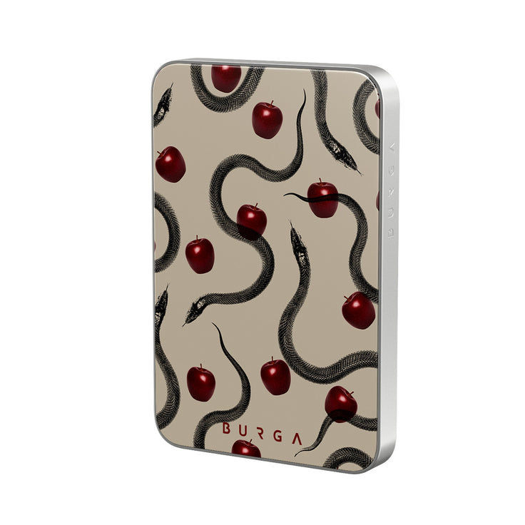 DE_10MS_MagPbank5K-SI