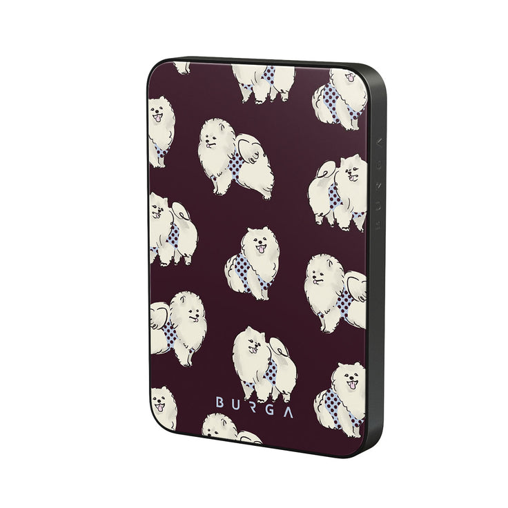 DO_04MS_MagPbank5K-GU