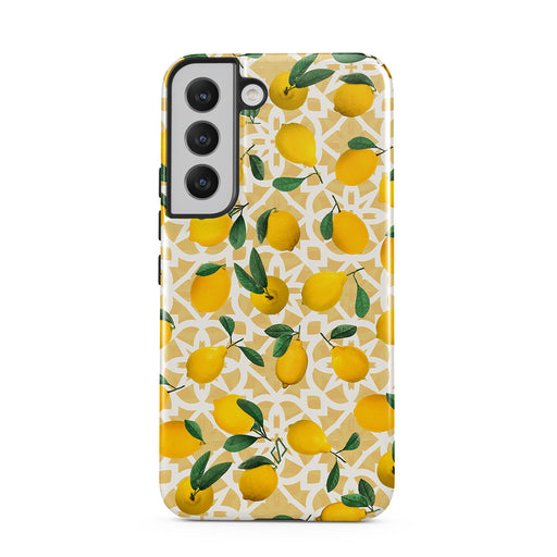 LL_01_S22PL_TH-magnetic