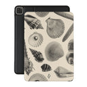 Shell Mosaic -  iPad Pro 11 (4th/3rd Gen) Case 1