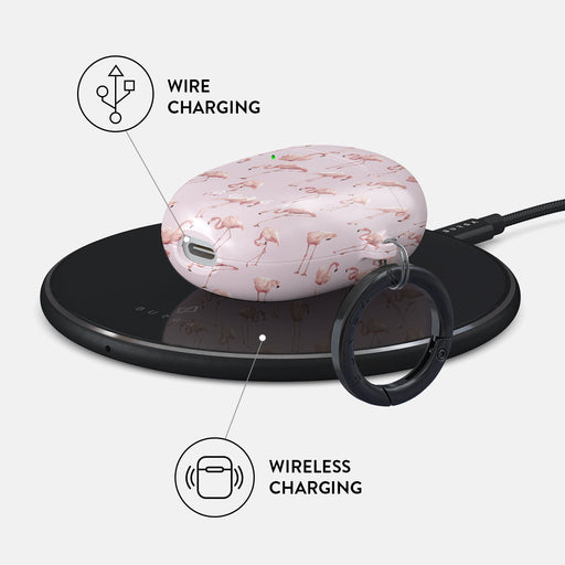 Nostalgic Pink - Flamingos Google Pixel Buds Pro 2 Case 3