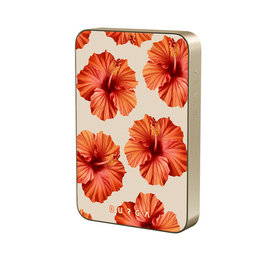 RS_10MS_MagPbank10K-GO