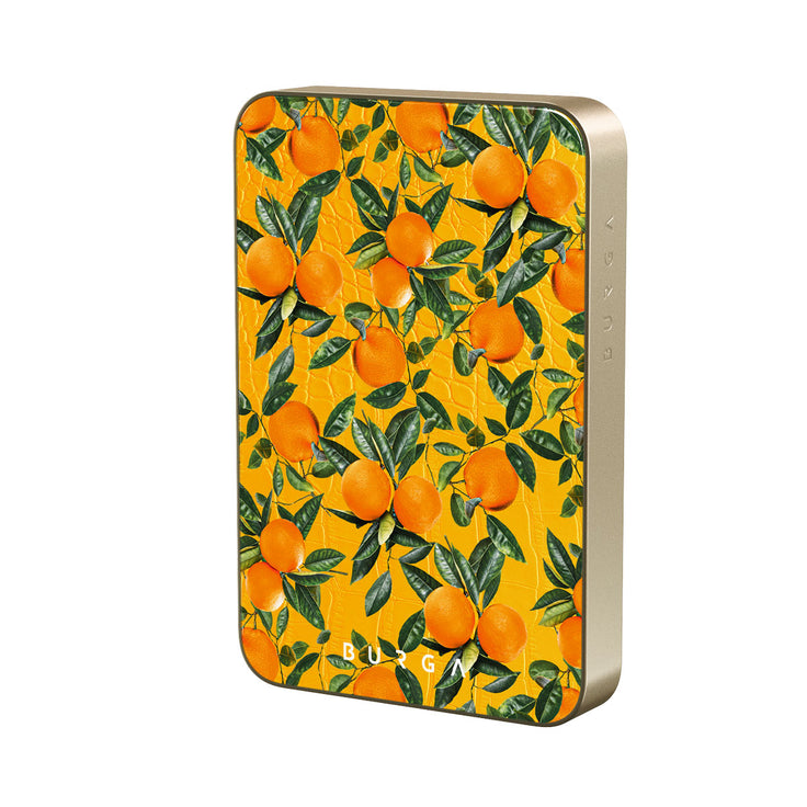 SP_05MS_MagPbank10K-GO