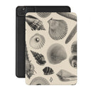Shell Mosaic -  iPad Pro 12.9 (4th/3rd Gen) Case 1