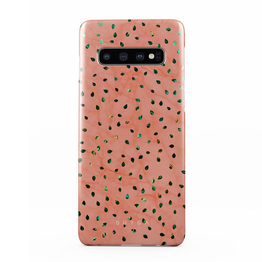 Watermelon Shake - Samsung Galaxy S10 Plus Case 1